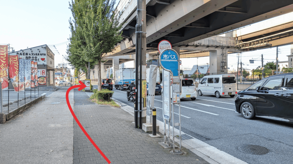 パルスプラザ前Aのりばから京都パルスプラザへ向かう横断歩道
